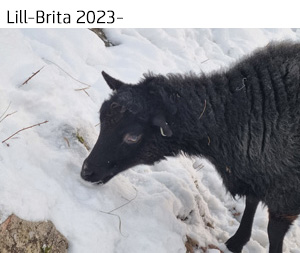Lill-Brita 2024.jpg